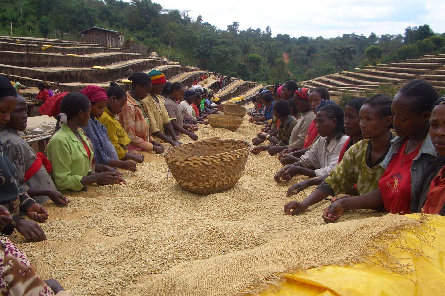 Ethiopia Kochere